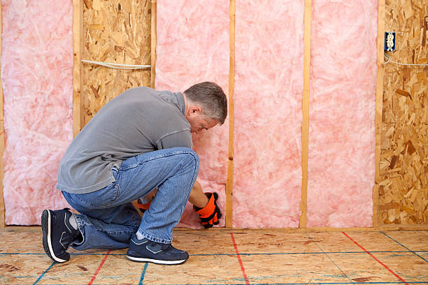 Best Insulation Repair Services  in Brookshire, TX